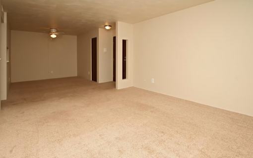 A room with a carpeted floor and a ceiling light.