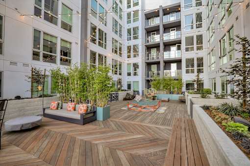 A wooden deck with a bench and plants in the foreground and apartment buildings in the background.