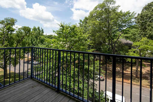 The Ellys view