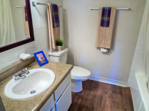 Bathroom With Bathtub at Auburn Glen Apartments, Florida