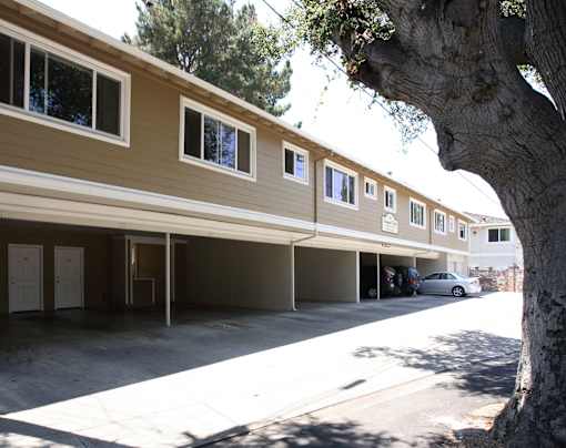 A tree is in front of a building.