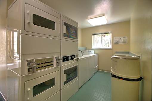 A row of white ovens are lined up in a room.