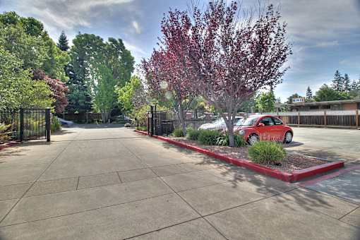 A red car is parked in a driveway with a tree in front of it.