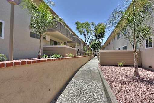 A long, narrow alleyway between two buildings with trees on either side.