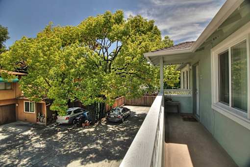 A tree with green leaves is in front of a house.