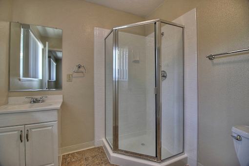 A bathroom with a walk-in shower and a toilet.
