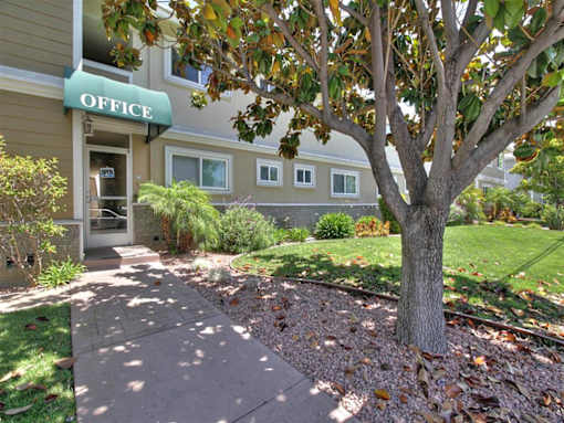 a sidewalk in front of an office building with a tree