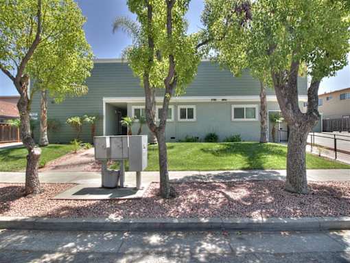 A house with a green exterior and a tree in front of it.