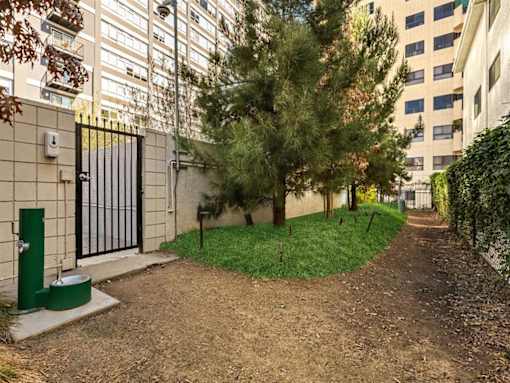 Dog Park at The View, Los Angeles, 90005