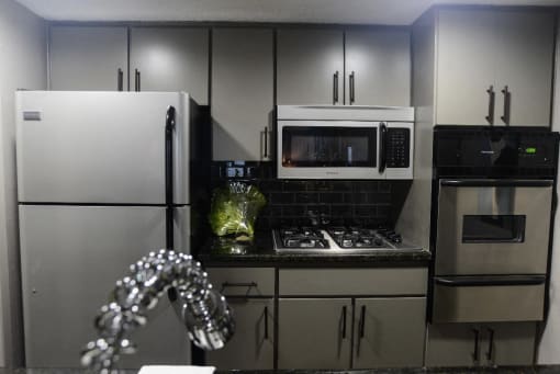 kitchen cabinets appliances