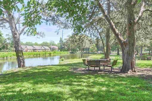 A park with a bench and a pond.