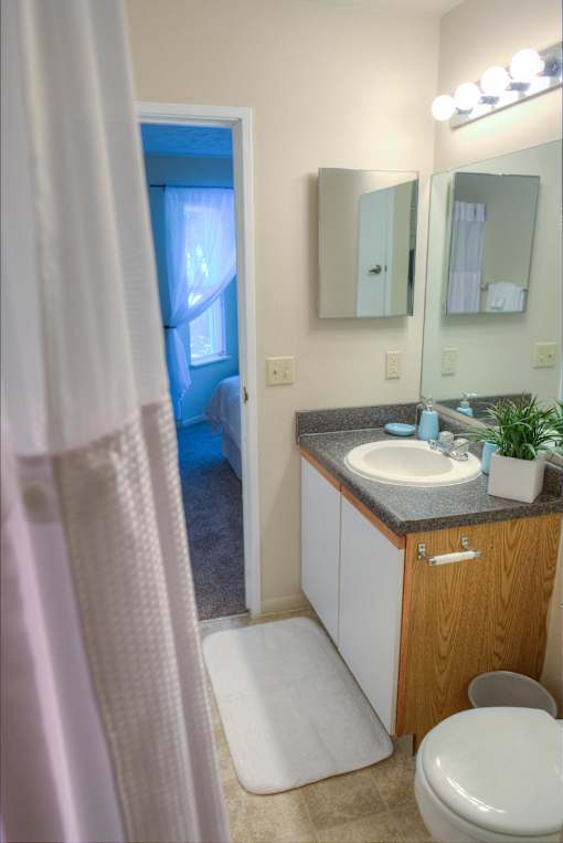 Pine Lane Estates Bathroom with Vanity Mirror