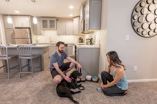 Pine Lane Estates Apartments Near Eastwood Pet Friendly Apartments