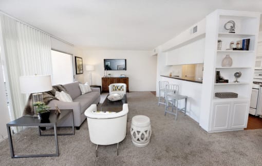 The apartment living room area has either carpet or wood style flooring. The living room area also has a patio sliding door that leads out to a patio.