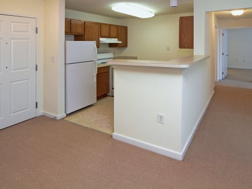 Apartment Kitchen