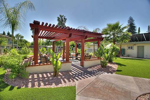 A patio with a pergola and a cactus.
