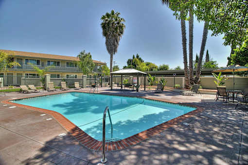 A swimming pool surrounded by palm trees and lounge chairs.
