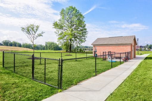 Dog park