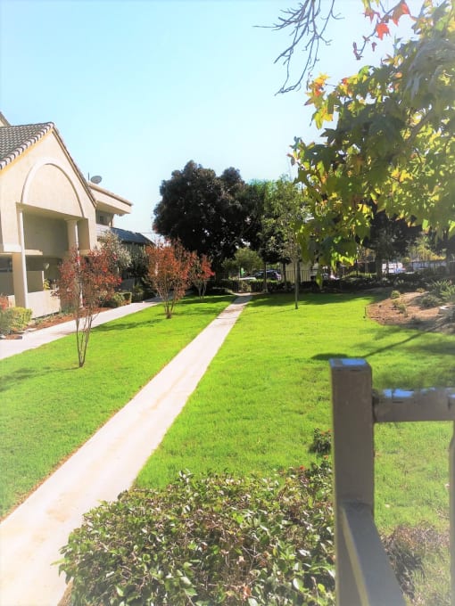 Grass area with walkway