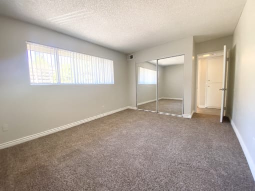 Carpeted room with closet and window