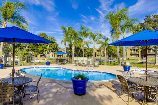 Mesa Village Apartments Lifestyle - Pool Deck & Pool