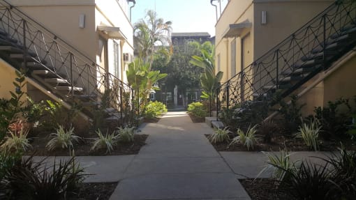 South Olive Apartments Walkway