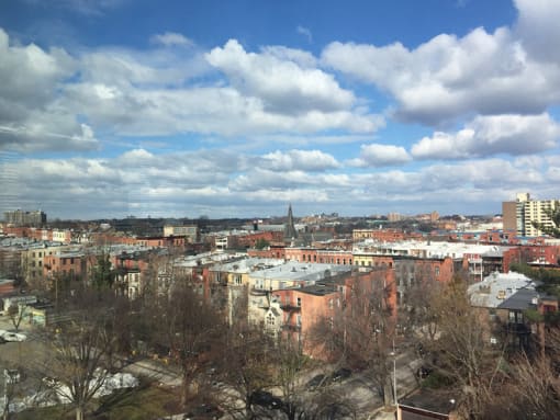 Linden Park Apartments View