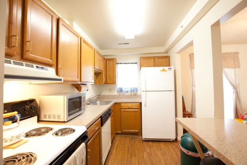 Indian Bridge Apartment Kitchen