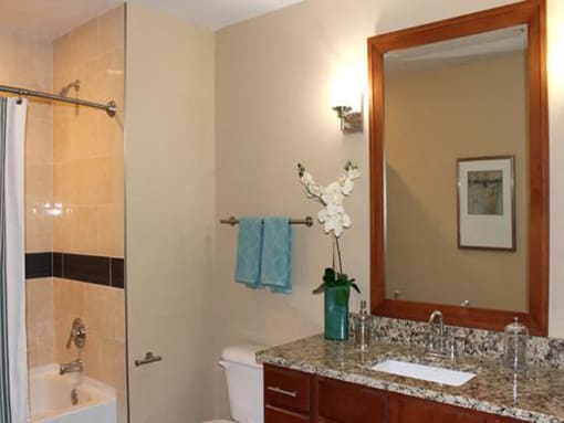 Granite Countertops in Bathrooms at Residences At 1717, Cleveland, OH, 44114