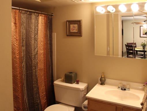 Luxurious Bathroom at Willoughby Hills Towers, Willoughby Hills, 44092