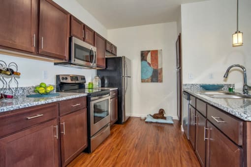 Large Kitchens with Stainless Steel Appliances at Apartment near UCHealth Longs Peak Hospital