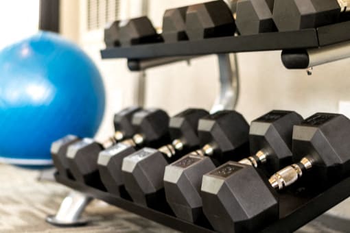 Gym equipment at Rock 35, Round Rock, 78681