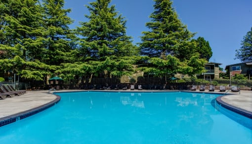 Sparkling Swimming Pool at Commons at Timber Creek Apartments, Portland, Oregon
