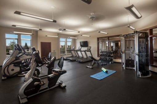 Fitness Center at The Tuscany on Pleasant View, Madison