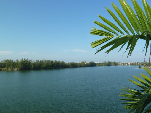 Sailboat Lake