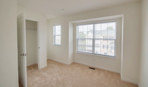 Large Windows and Walk-in Closet