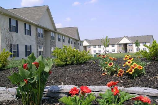 A garden with red flowers in front of a building.