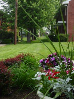 A flower bed with red and white flowers in front of a building.