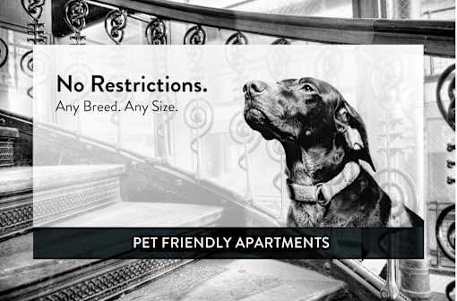 Lexington Hills pet friendly