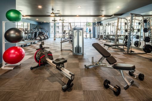 Free Weights | One11 Apartments