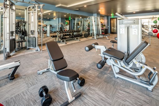 Fitness Center | One11 Apartments