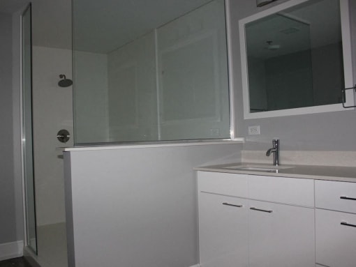 large bathroom with glass frame shower at Thomas Jefferson Tower, Birmingham, 35203