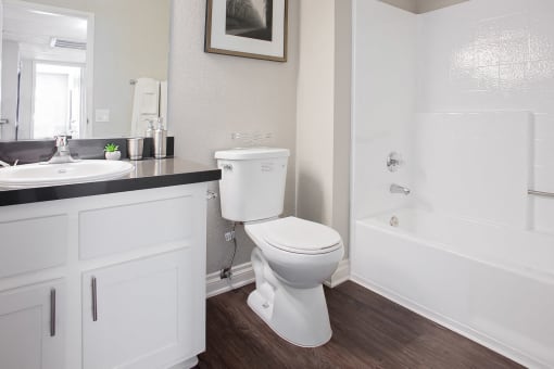 Full bath at Mission Trails Apartments San Diego, San Diego, CA, 92119