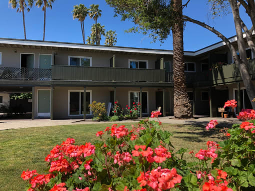 Midtown Apartments 2727 Midtown Court Palo Alto, CA 94303
