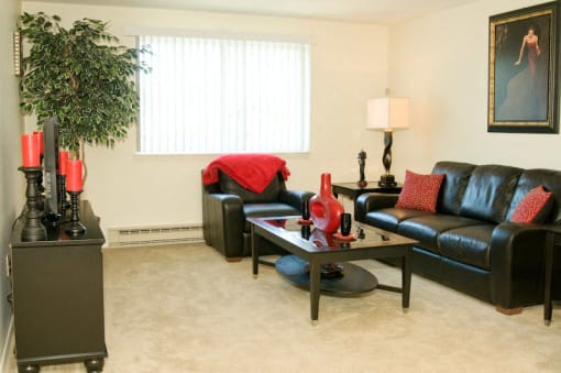 Bright Spacious Living Room at Bradford Manor Apartments, Hamlin, NY