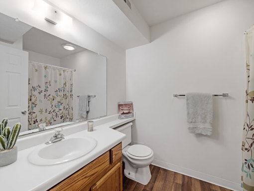 full bathroom with large mirror and under the sink storage 