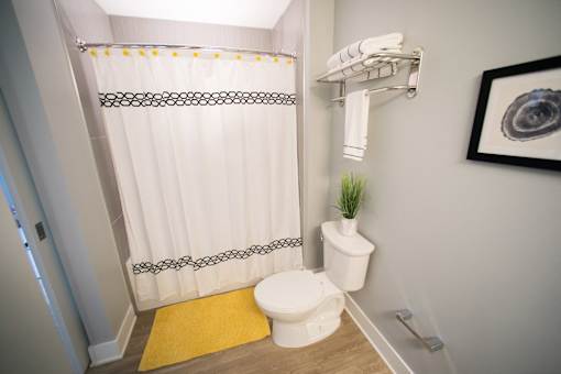Shower Bathtub Combination Bathroom