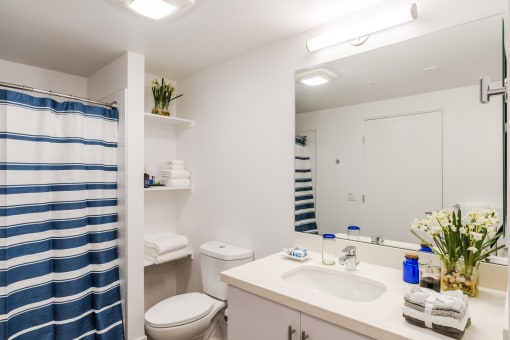 Glendale, CA Apartments for Rent - L Lofts Bathroom