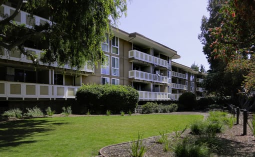 Back side of property