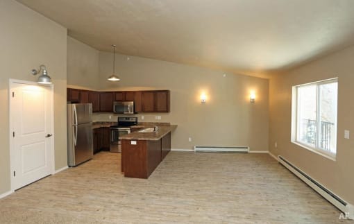 Open Concept Kitchen, Dining and Living Area